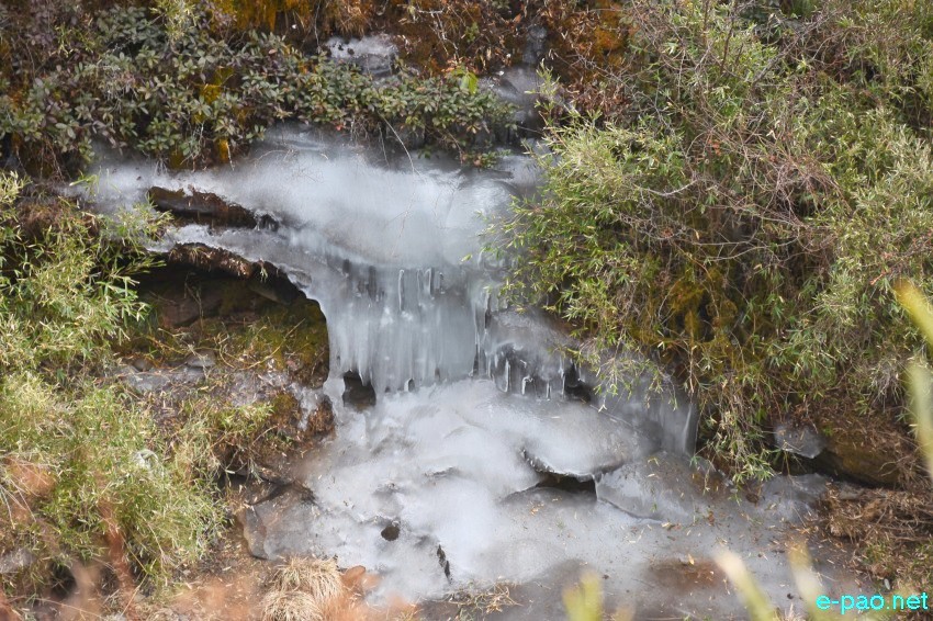 Trekking to Dzukou Valley in Senapati district, Manipur :: 27th to 29th January 2019