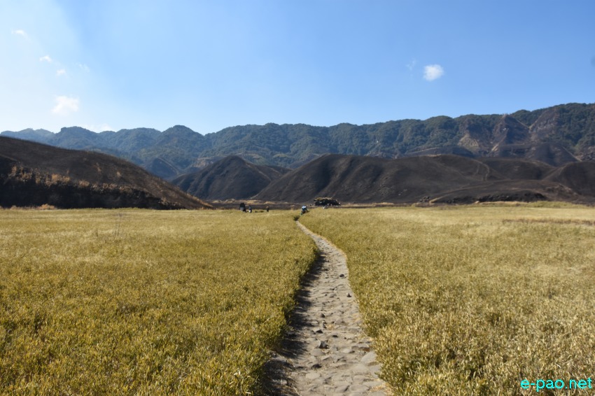 Trekking to Dzukou Valley in Senapati district, Manipur :: 27th to 29th January 2019