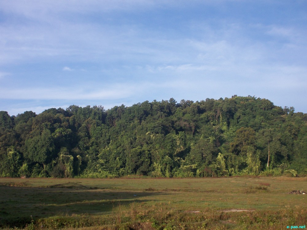 Phayeng Umang community reserved forest : Important photo of Phayeng village :: 2013