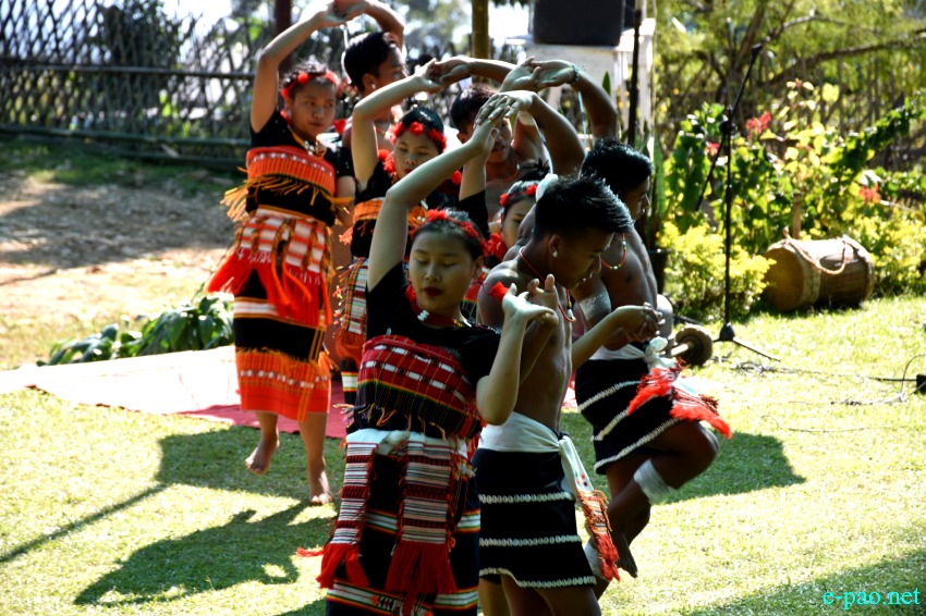 Rongmei community : 5th State Level Amur Falcon Festival at  Tamenglong :: 4 November 2019