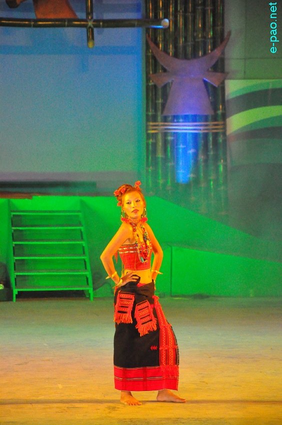 Day 4 : Cultural Dances   by   artistes from Tamenglong District   at Manipur Sangai Tourism Festival 2013  at BOAT :: November 24 2013