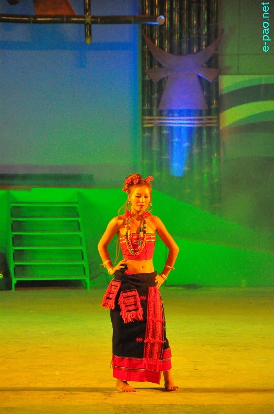 Day 4 : Cultural Dances   by   artistes from Tamenglong District   at Manipur Sangai Tourism Festival 2013  at BOAT :: November 24 2013