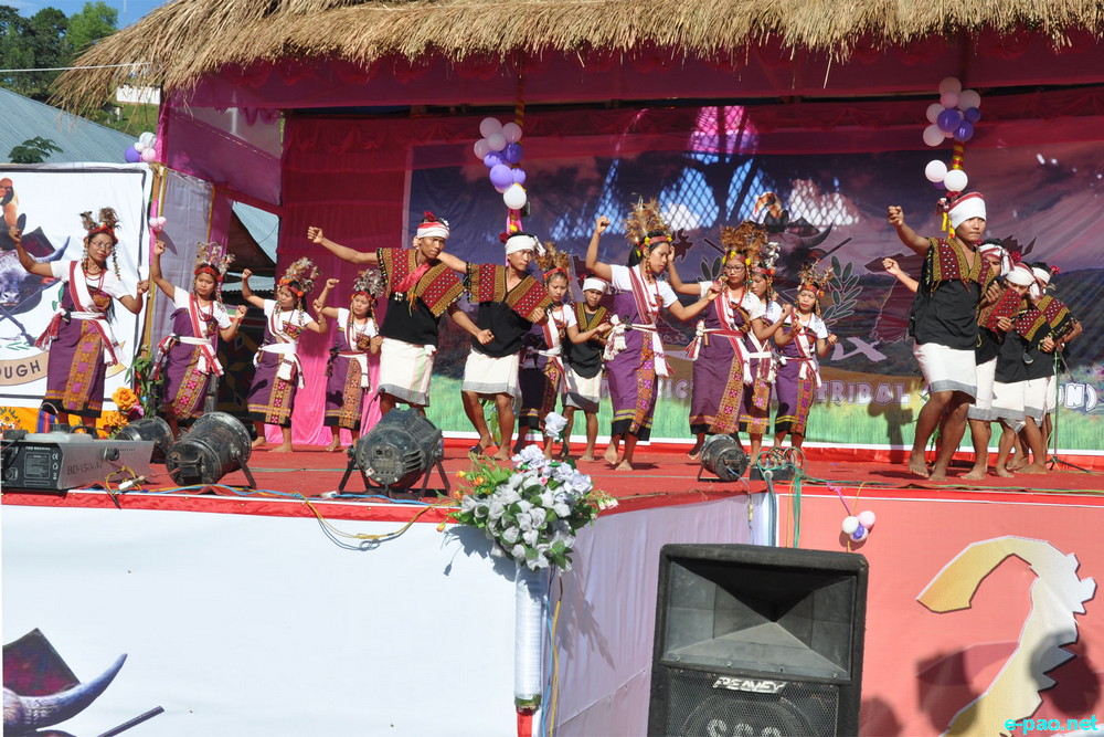 District Level Kut Festival - Chin-Kuki-Mizos Festival at Chandel District :: 1 November 2014
