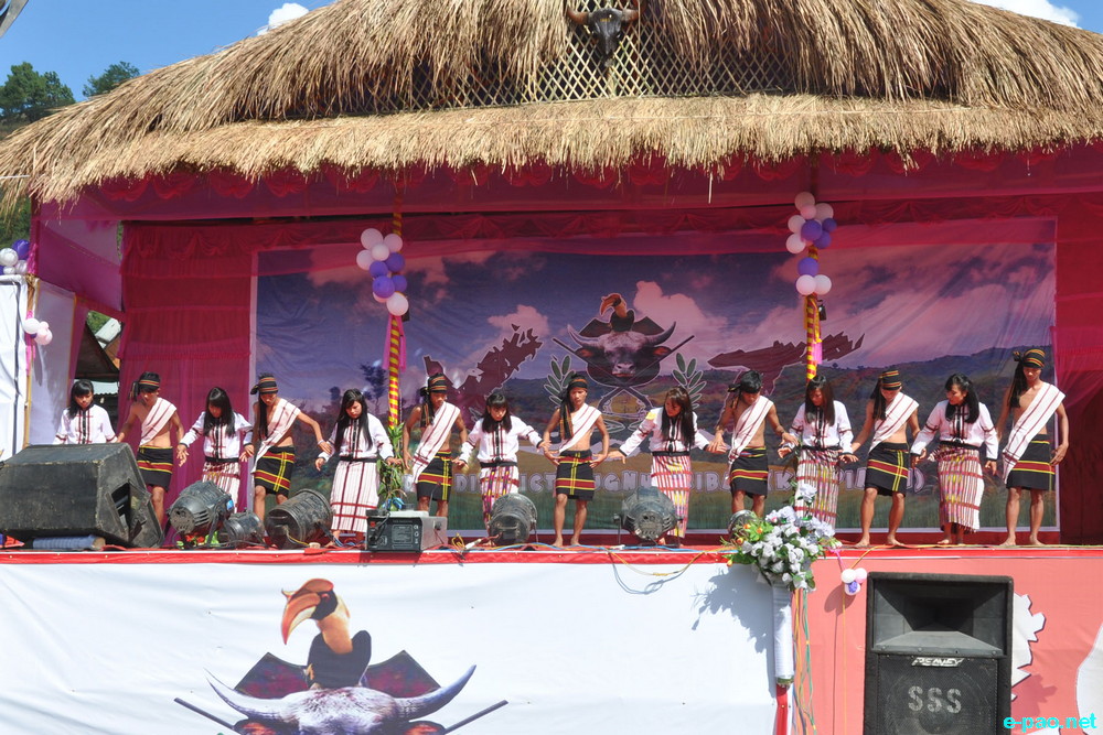 District Level Kut Festival - Chin-Kuki-Mizos Festival at Chandel District :: 1 November 2014