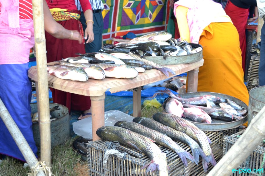 Ningol Chakkouba Fish Mela at  Hapta Kangjeibung :: November 03 2013