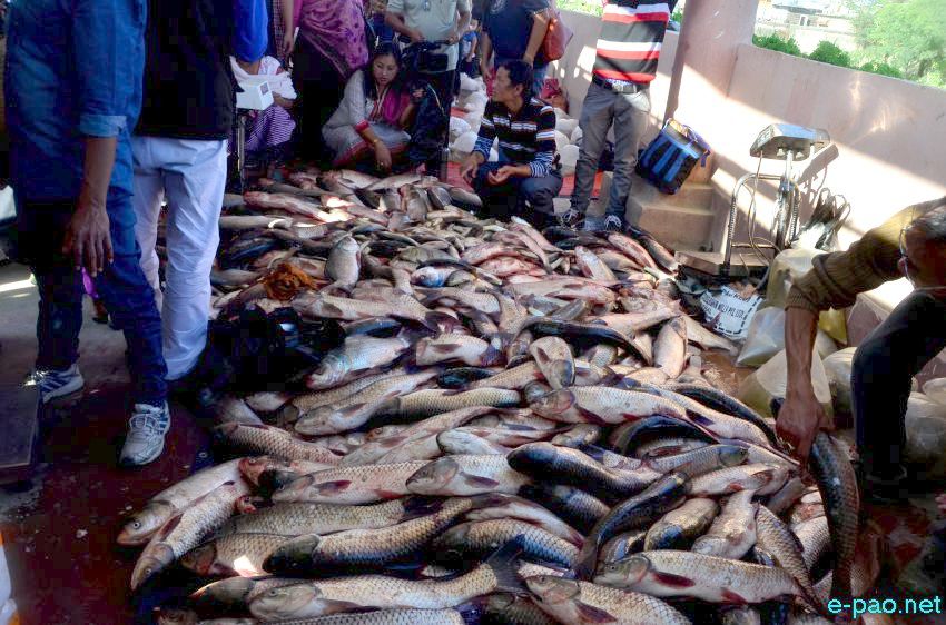 Ningol Chakkouba : Fish Fair / Fish Crop Competition at Inter State Bus Terminus Campus, Khuman Lampak :: November 12 2015