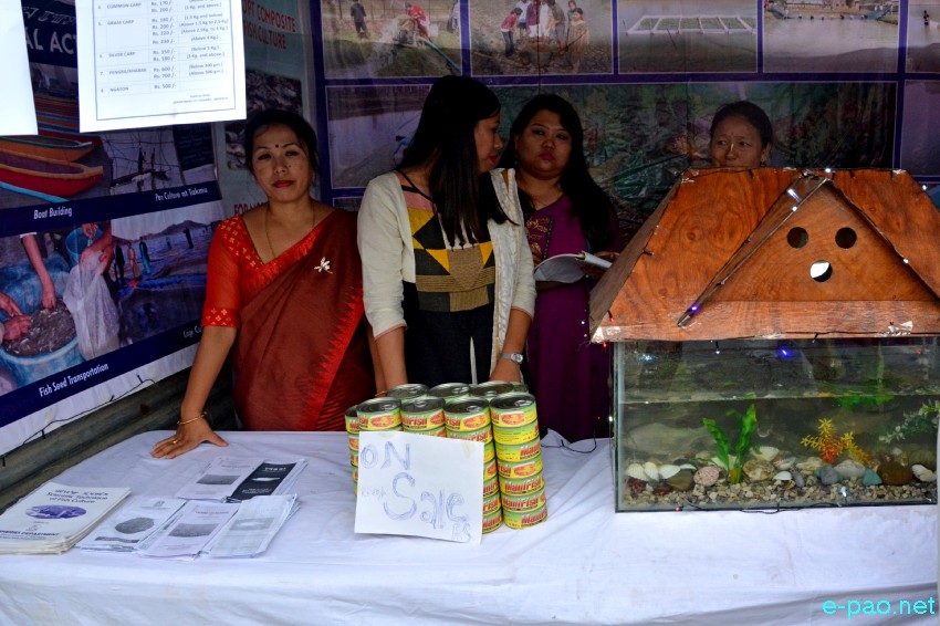 Ningol Chakkouba Fish Mela at Hapta Kangjeibung, Palace Compound Imphal :: October 20 2017