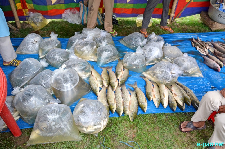 Ningol Chakkouba Fish Mela at Hapta Kangjeibung, Palace Compound Imphal :: October 20 2017