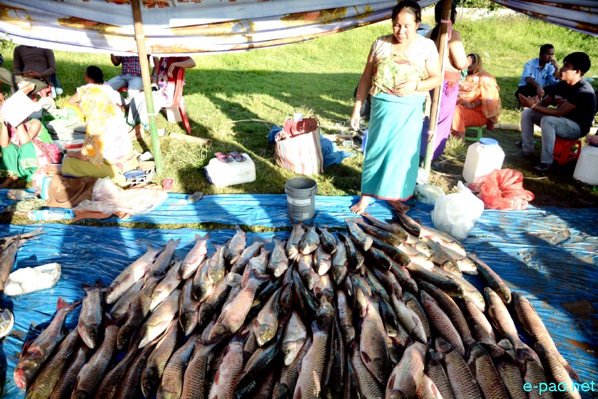 Ningol Chakouba : Fish Fair - Fish Crop Competition at NCC Ground Thangmeiband :: 29th October 2019