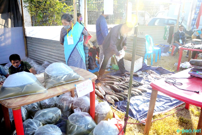 Ningol Chakouba : Annual Fish Fair / Fish Crop Competition 2021  at Mapal Kangjeibung :: 5th November 2021