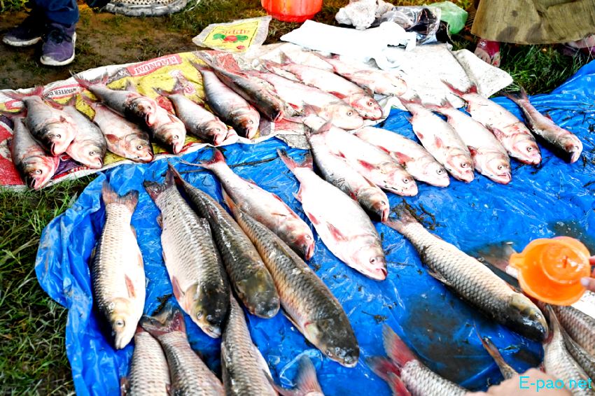  Annual Fish Fair / Fish Crop Competition at Hapta Kangjeibung :: 26th October 2022 
