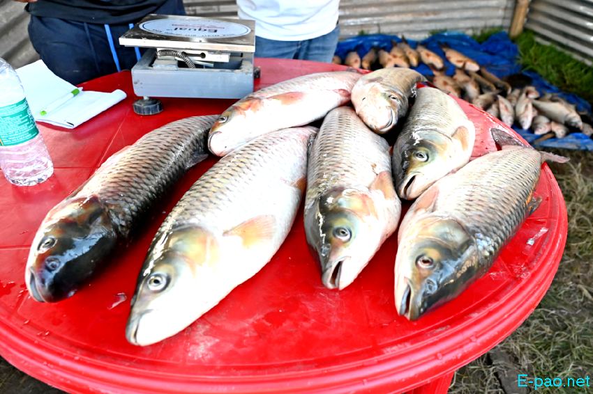 Annual Fish Fair / Fish Crop Competition at Hapta Kangjeibung :: 26th October 2022
