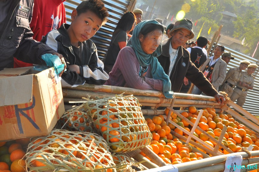 Culturals at 10th State Level Orange Festival 2013 at Noney Common ground, Tamenglong Manipur :: December 14 2013