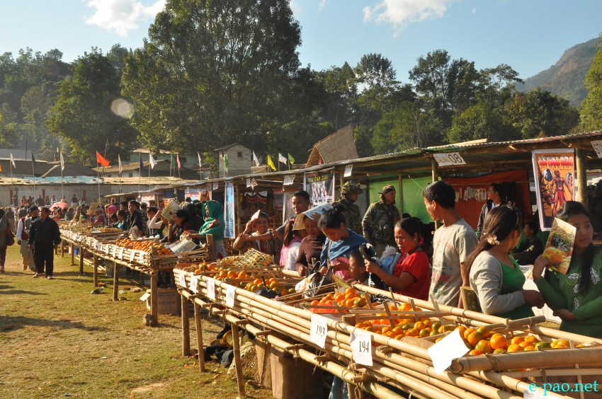 Culturals at 10th State Level Orange Festival 2013 at Noney Common ground, Tamenglong Manipur :: December 14 2013