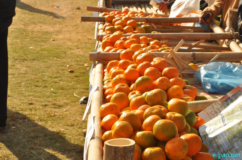 Culturals at 10th State Level Orange Festival 2013 at Noney Common ground, Tamenglong Manipur :: December 14 2013