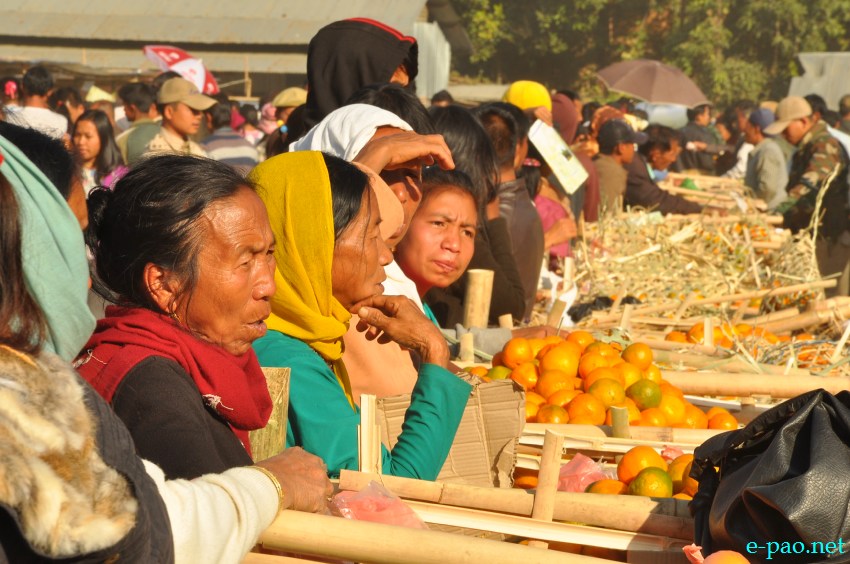 Culturals at 10th State Level Orange Festival 2013 at Noney Common ground, Tamenglong Manipur :: December 14 2013