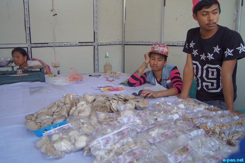 Day 6 :  Stalls in display as part of Manipur Sangai Festival at Hapta Kangjeibung :: November 26 2015