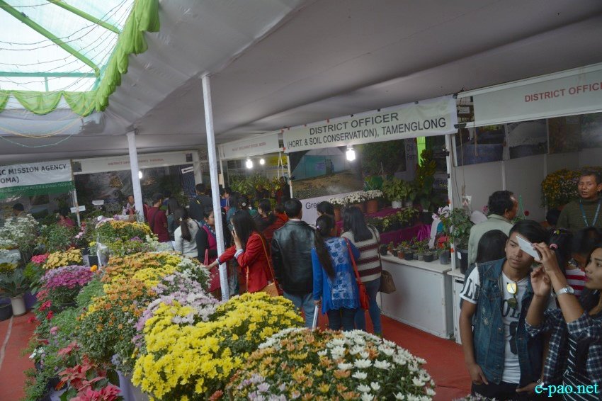Day 9 : Stalls  at Manipur Sangai Festival at Hapta Kangjeibung :: November 29 2016