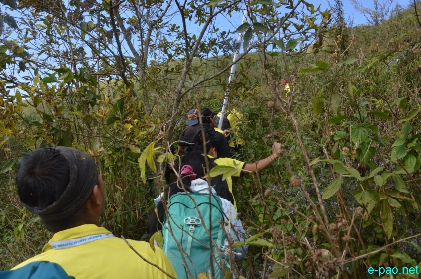 Day 8 : MMTA Trekking at Leimaton as part of Manipur Sangai Festival :: 28 November 2017