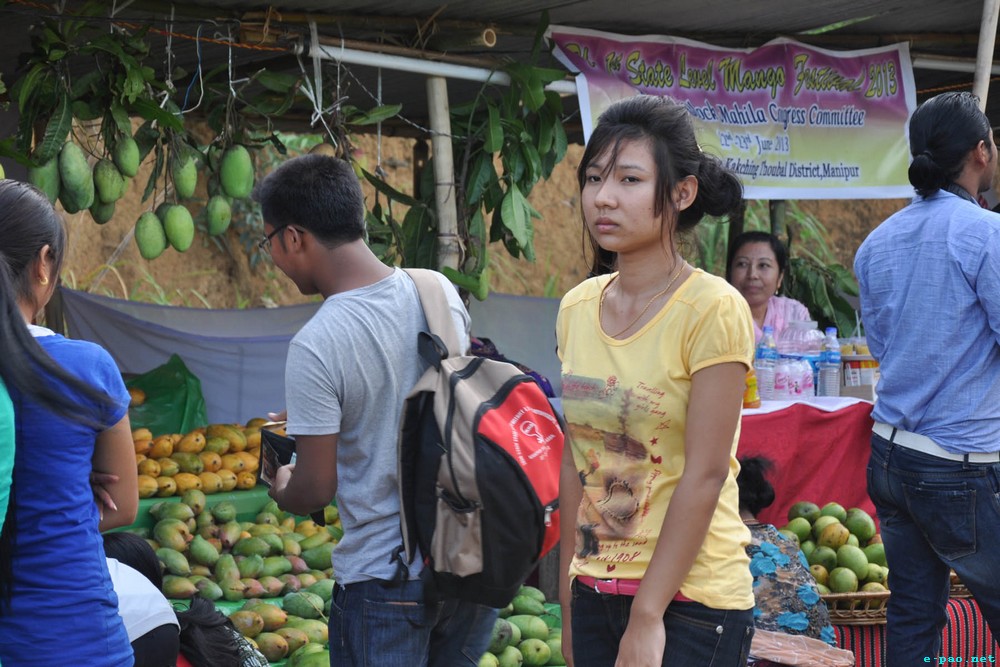 Stalls at the 1st State Level Mango Festival 2013 at Laipham Loknung, Kakching :: 23 June 2013