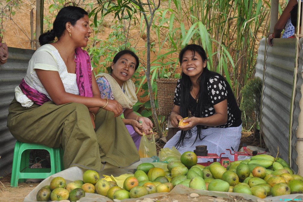 Stalls at the 1st State Level Mango Festival 2013 at Laipham Loknung, Kakching :: 23 June 2013