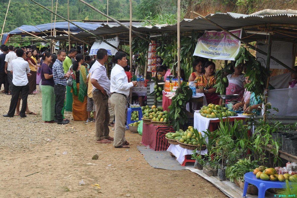 Stalls at the 1st State Level Mango Festival 2013 at Laipham Loknung, Kakching :: 23 June 2013