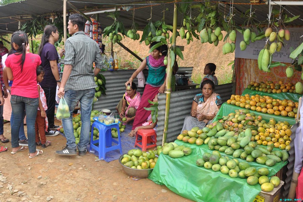 Stalls at the 1st State Level Mango Festival 2013 at Laipham Loknung, Kakching :: 23 June 2013