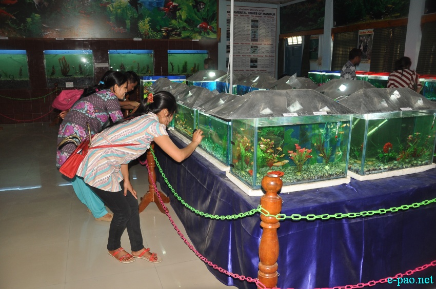 2nd State Level Aquarium Exhibition / Flower show at Manipur Science Aquarium, Imphal :: April 10 2014