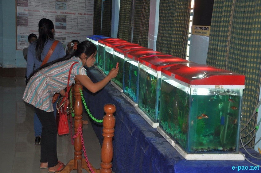 2nd State Level Aquarium Exhibition / Flower show at Manipur Science Aquarium, Imphal :: April 10 2014