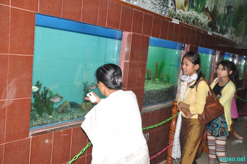2nd State Level Aquarium Exhibition / Flower show at Manipur Science Aquarium, Imphal :: April 10 2014