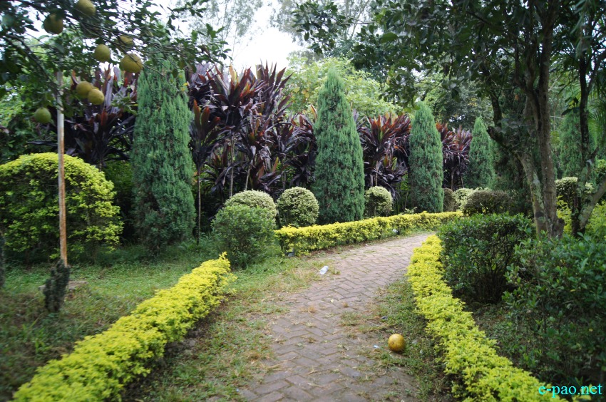 Ashei Ningthou Garden situated at Matai village in Imphal East district :: November 2014