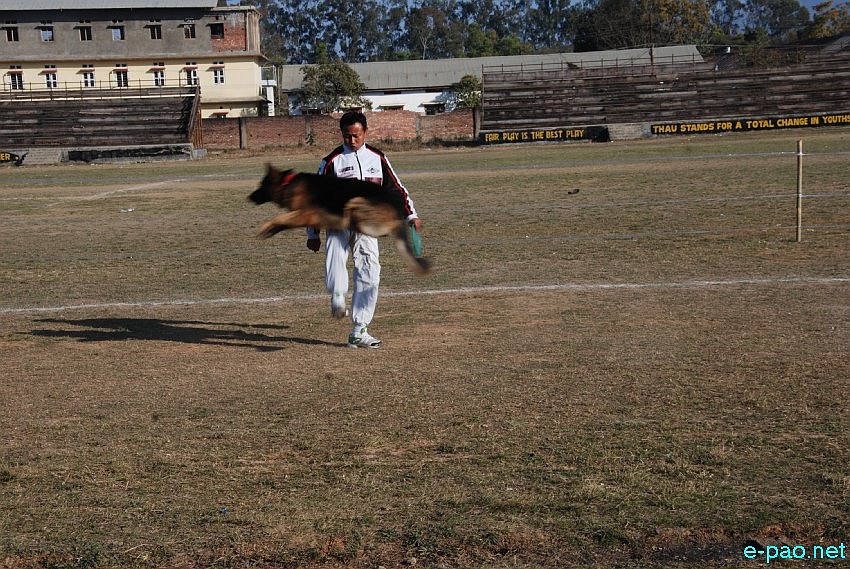 Dogs Talent Show  at Thangmeiband Athletic Union (THAU) Ground, Imphal :: 5th January 2013