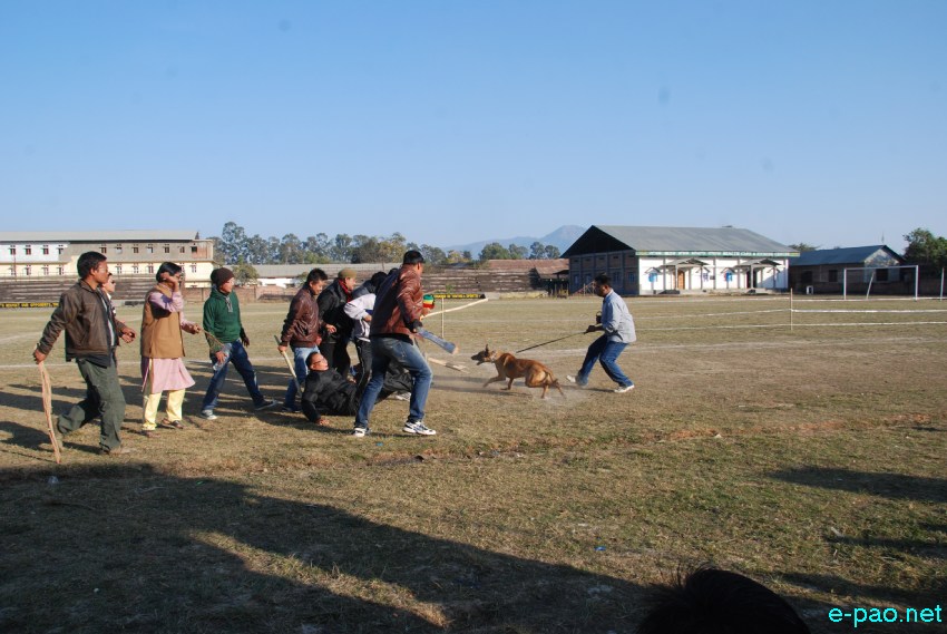 Dogs Talent Show  at Thangmeiband Athletic Union (THAU) Ground, Imphal :: 5th January 2013