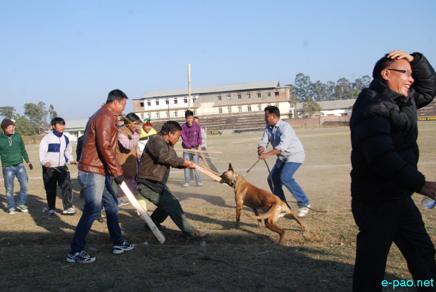 Dogs Talent Show  at Thangmeiband Athletic Union (THAU) Ground, Imphal :: 5th January 2013