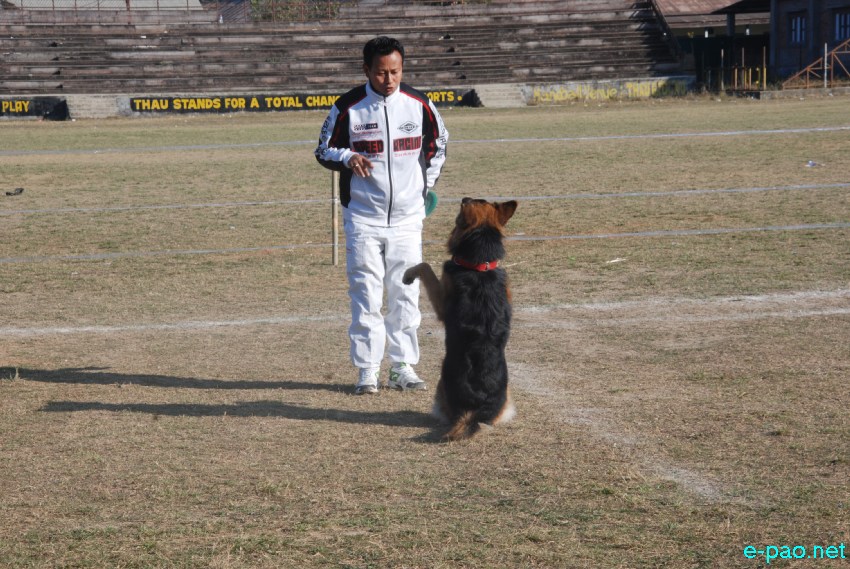 Dogs Talent Show at Thangmeiband Athletic Union (THAU ...