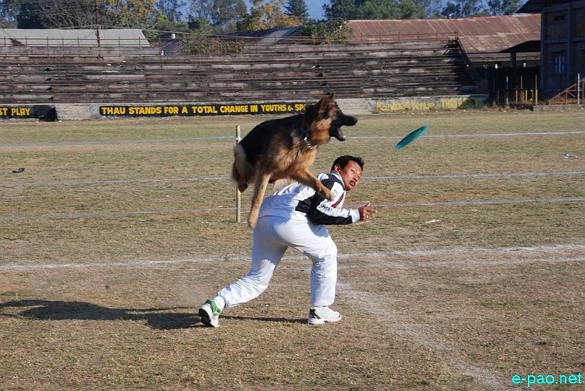 Dogs Talent Show  at Thangmeiband Athletic Union (THAU) Ground, Imphal :: 5th January 2013