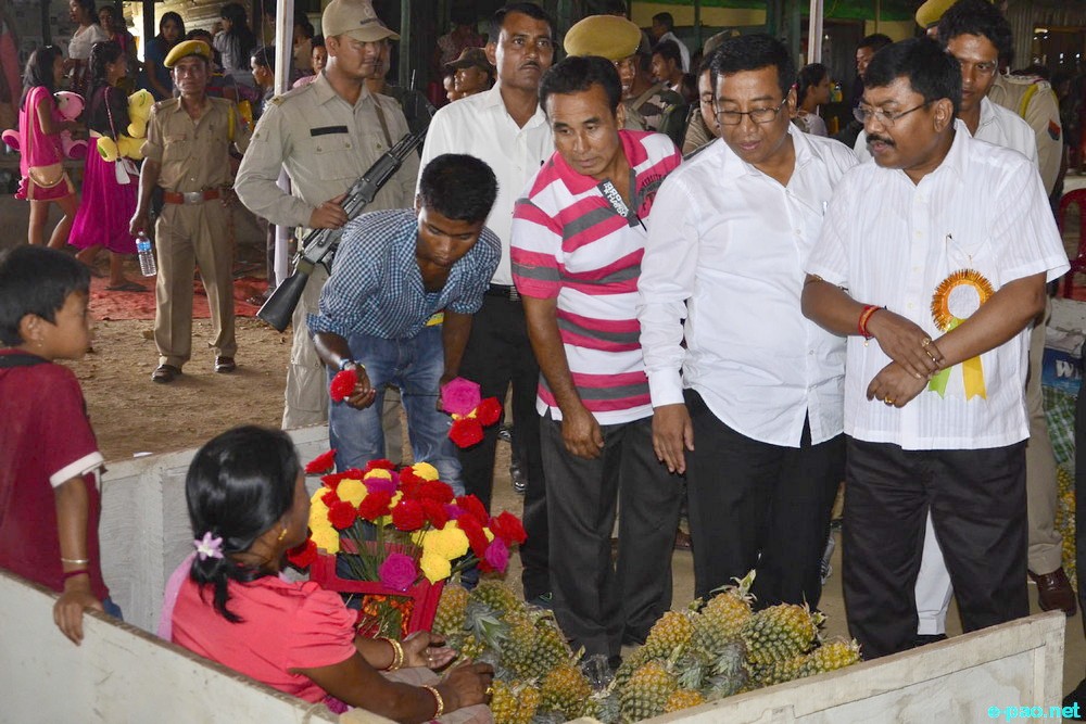 7th State level Pineapple Fair / Youth Festival 2014 at Thambalnu Market Complex, Andro :: 29 June 2014