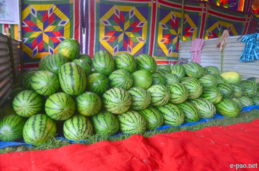 3rd State Level Watermelon Festival 2014 at Iboyaima Shumang Leela Shanglen, Imphal :: June 13 2014