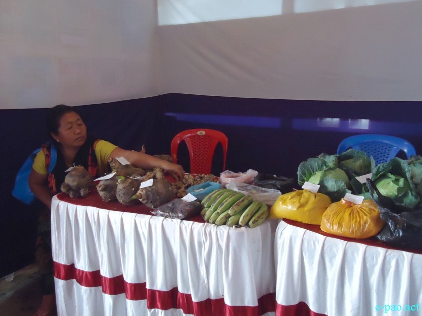 Farmers' Fair and Exhibition at ICAR Research Complex, Lamphelpat, Imphal :: 30 March 2015