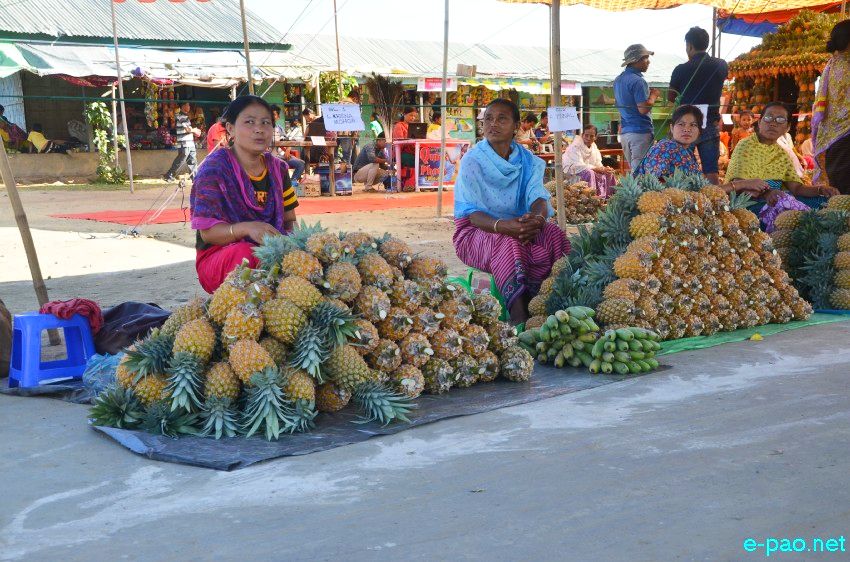 Pineapple Fair / Youth Festival 2015 kicked off at Thambalnu Keithel, Poiroupat :: 21st October 2015