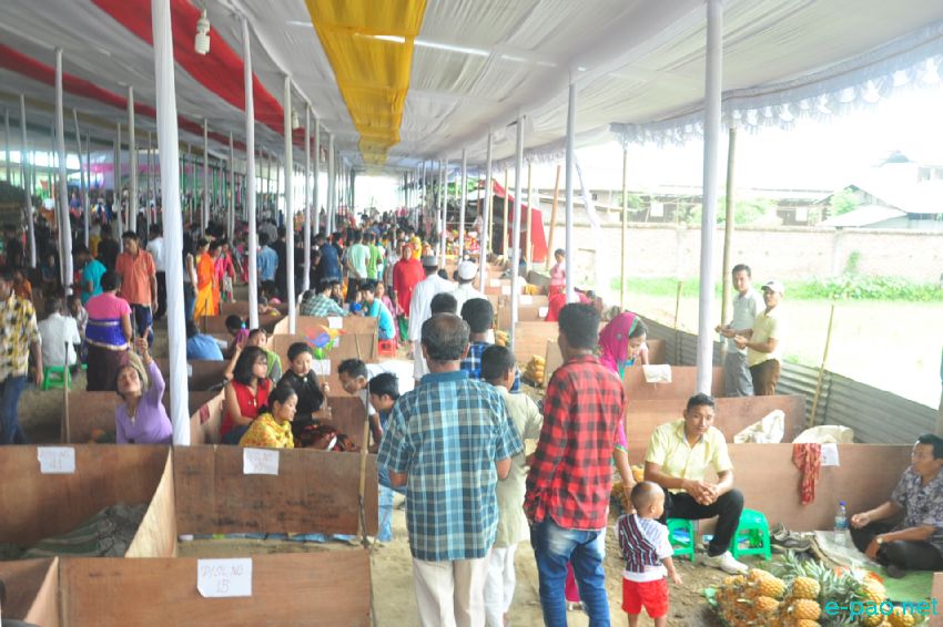 9th Pineapple Festival cum Seller & Buyer Meet & Youth Festival 2016 :: 08th July 2016