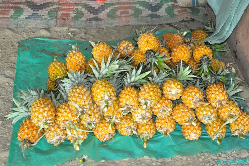 9th Pineapple Festival cum Seller & Buyer Meet & Youth Festival 2016 :: 08th July 2016