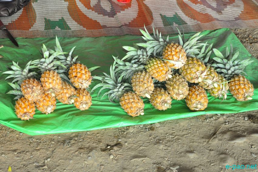 9th Pineapple Festival cum Seller & Buyer Meet & Youth Festival 2016 :: 08th July 2016
