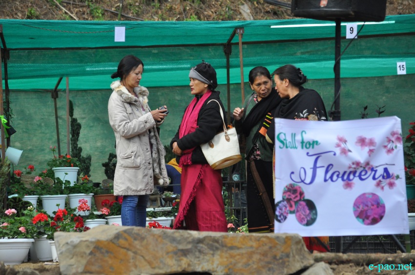 Crowd at 3rd Flower Festival  / 1st Cherry Blossom Festival at Kayinu Village, Mao :: 26th - 28th November 2017