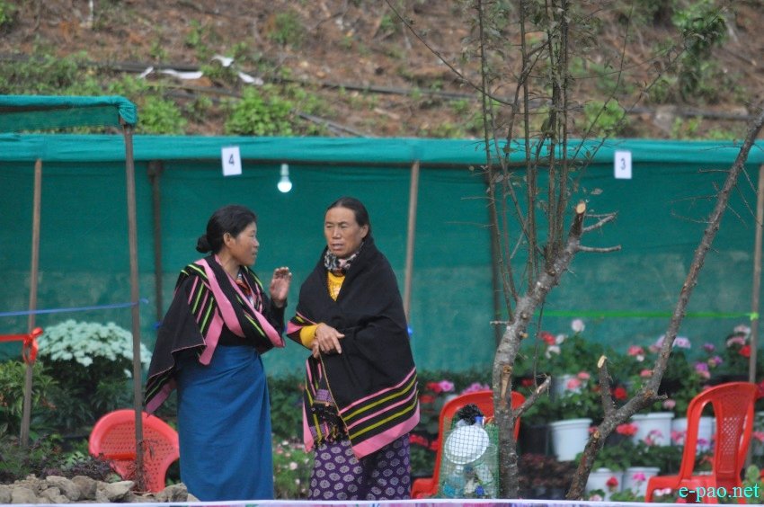 Crowd at 3rd Flower Festival  / 1st Cherry Blossom Festival at Kayinu Village, Mao :: 26th - 28th November 2017