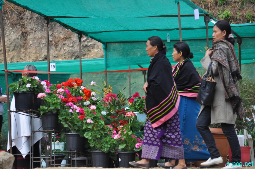 Crowd at 3rd Flower Festival  / 1st Cherry Blossom Festival at Kayinu Village, Mao :: 26th - 28th November 2017
