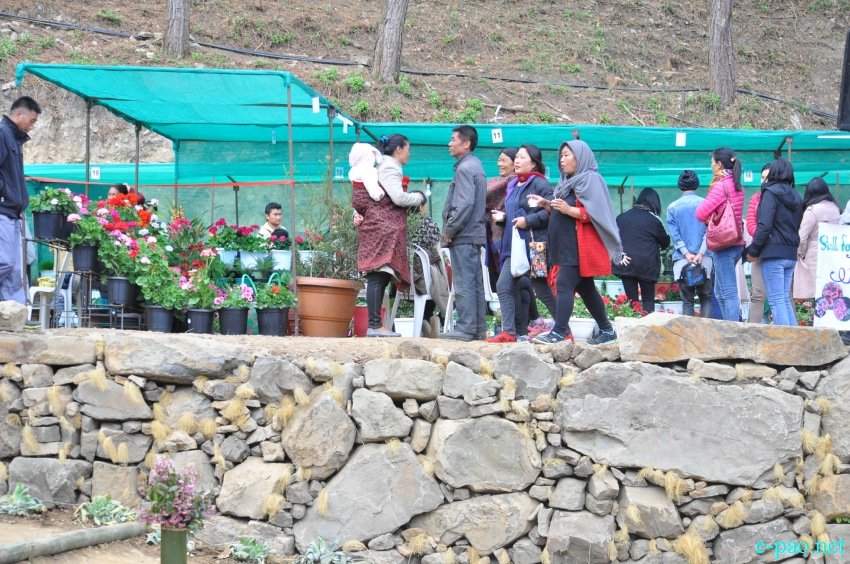 Crowd at 3rd Flower Festival  / 1st Cherry Blossom Festival at Kayinu Village, Mao :: 26th - 28th November 2017