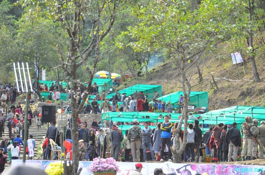 Crowd at 3rd Flower Festival  / 1st Cherry Blossom Festival at Kayinu Village, Mao :: 26th - 28th November 2017