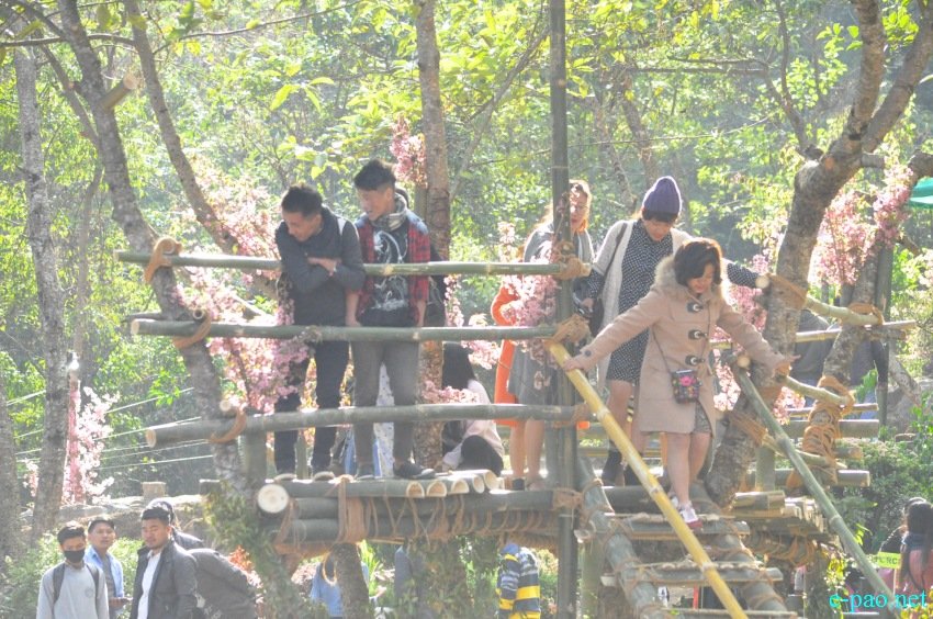 Crowd at 3rd Flower Festival  / 1st Cherry Blossom Festival at Kayinu Village, Mao :: 26th - 28th November 2017