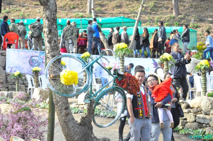 Crowd at 3rd Flower Festival  / 1st Cherry Blossom Festival at Kayinu Village, Mao :: 26th - 28th November 2017